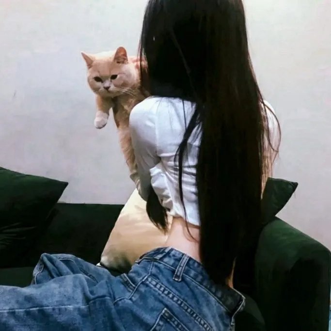 盲少爷恋上我